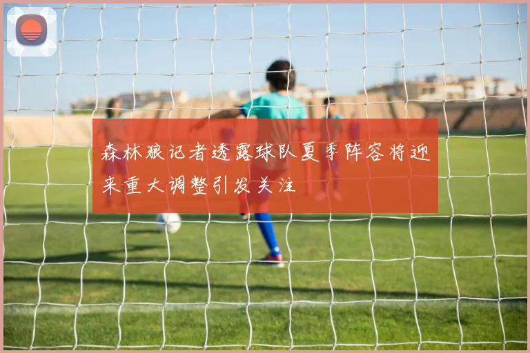 森林狼记者透露球队夏季阵容将迎来重大调整引发关注